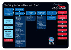 padi-flow-chart